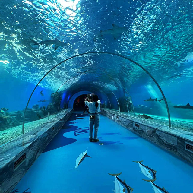 Почему аквариумный туннель в Джорджии так популярен? Фабрика акриловых листов Leyu