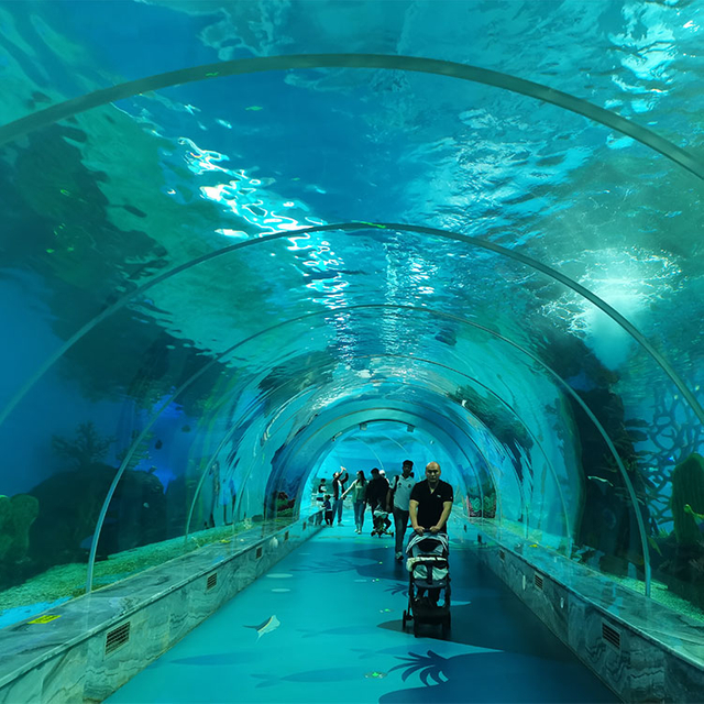 У кого самый длинный подводный туннельный аквариум в США - Фабрика акриловых листов Leyu