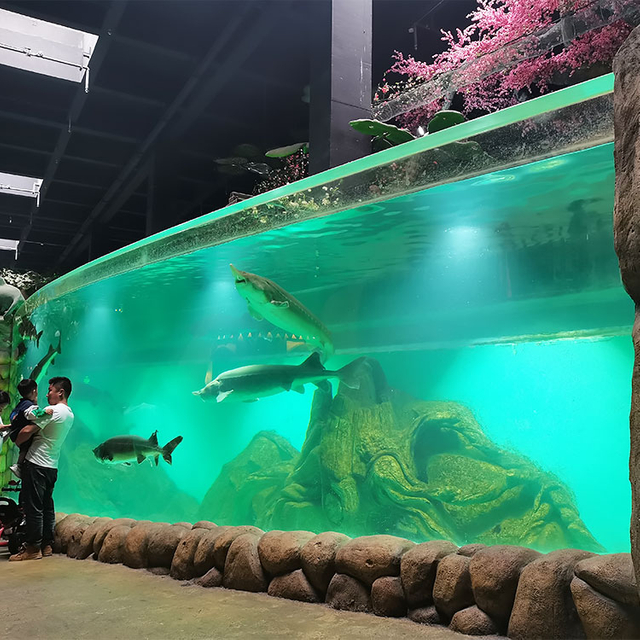 Популярен ли океанариум у туристов в Чикаго-Фабрика изделий из акрилового листа Лею