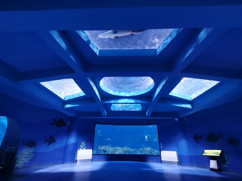 Где находится гостиница Ocean Park - Лею