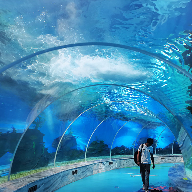 Почему аквариумный туннель так популярен? Фабрика акриловых листов Leyu