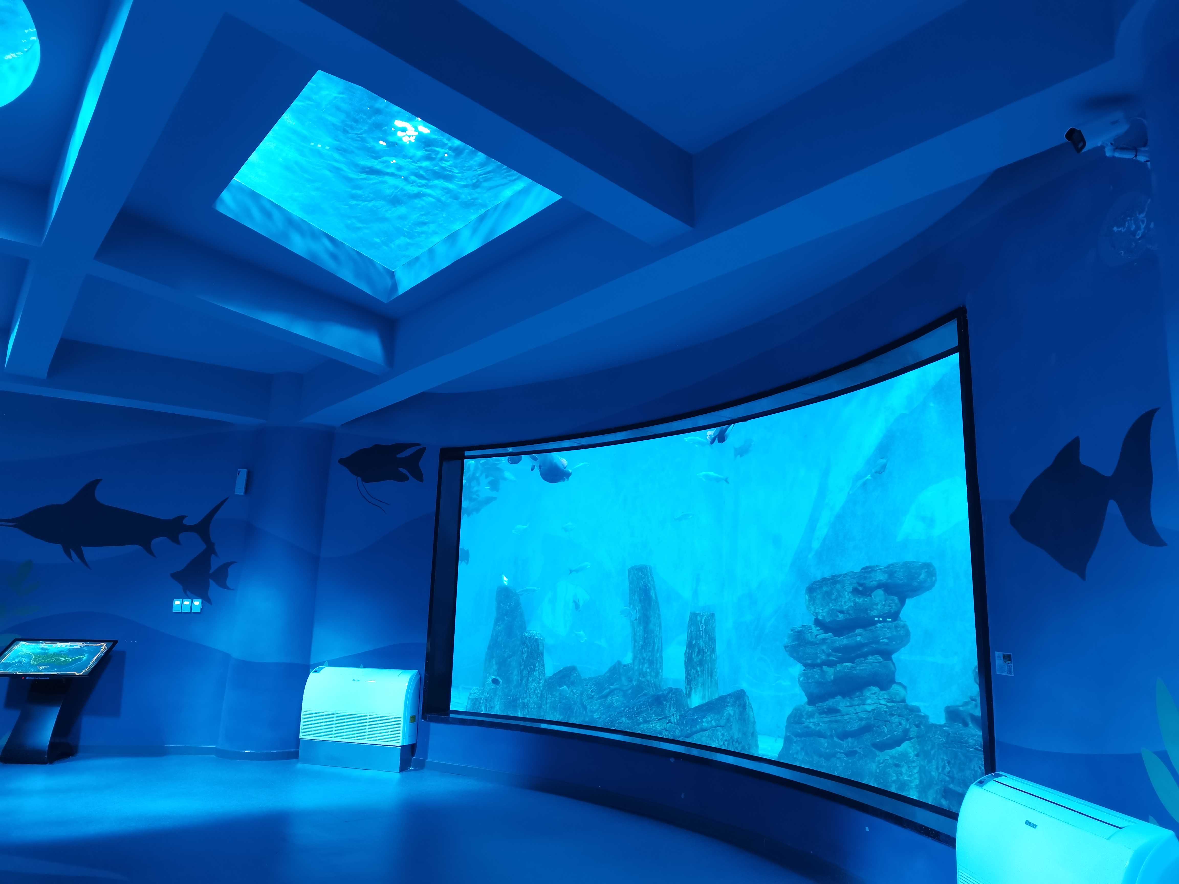 Ocean Park Inn - Лею
