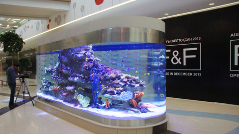 Морской прозрачный акриловый аквариум от фабрики акриловых аквариумов Leyu - Leyu 