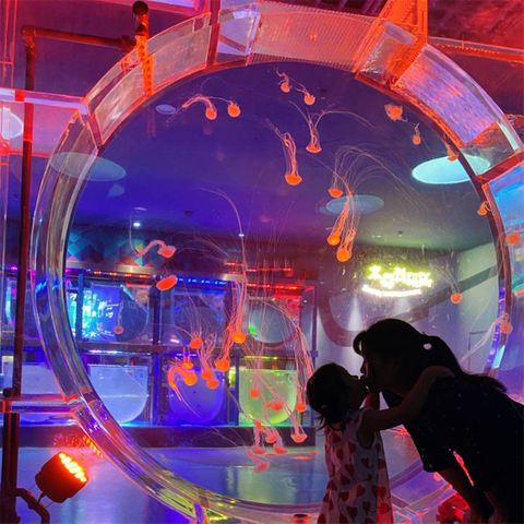 Аквариум с медузами Можно ли завести медуз в аквариуме - Лею