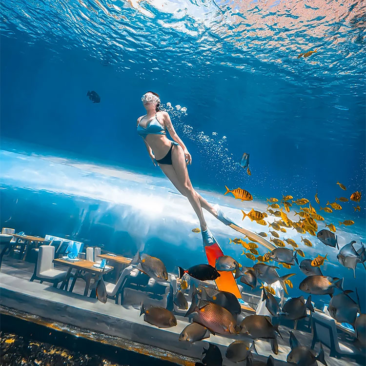360 Аквариумный Туннель Polar Ocean World - Лею