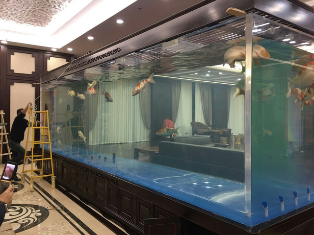 Акрил Leyu расскажет вам, какие стеклянные или прозрачные акриловые аквариумы лучше для вас - Leyu