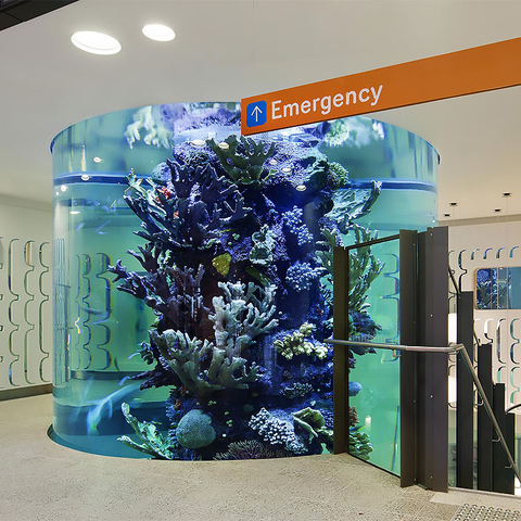 Мы покажем вам популярные в 2024 году дизайны акриловых аквариумов - Leyu