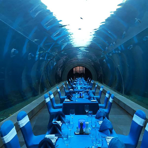Океанариум Подводный туннель с акулами Аквариумы в Океанском парке - Фабрика акриловых листов Leyu
