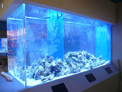 Как построить качественный аквариум по хорошей цене — акрил Leyu