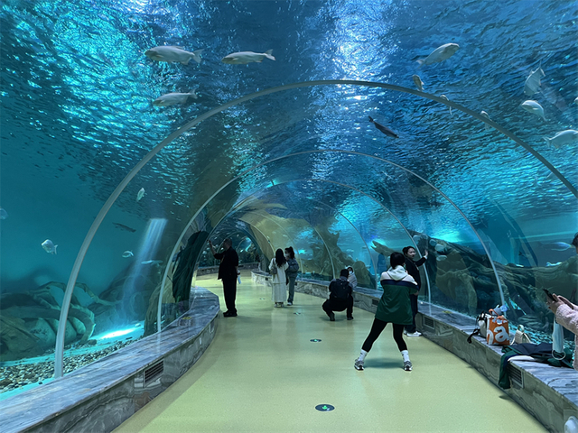 Фабрика индивидуальных подводных туннельных аквариумов-Фабрика акриловых листов Leyu