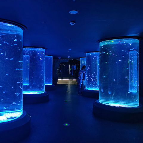 Где купить цилиндрический аквариум с медузами - Leyu